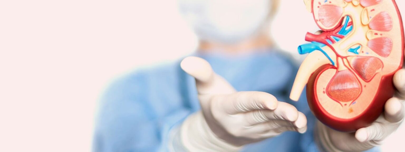 nephrology